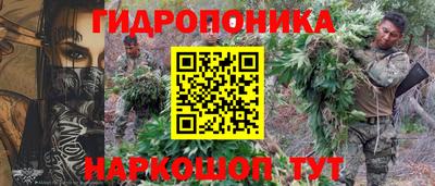 apvp Гай