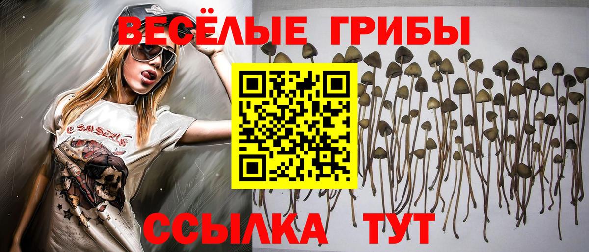 Псилоцибиновые грибы MAGIC MUSHROOMS  Вход с VPN  Минеральные Воды  Псилоцибиновые грибы мицелий 