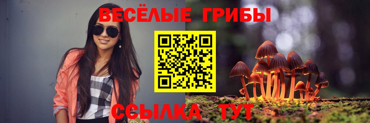 Cocaine  Альфа ПВП СК кристаллы  Марихуана  Меф МЯУ МЯУ   ЭКСТАЗИ  Минеральные Воды  Гашиш  Вход с VPN 